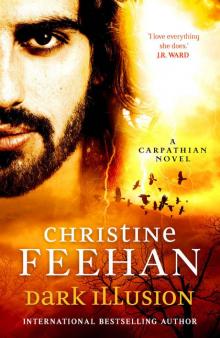 Dark Illusion ('Dark' Carpathian Book 33) Dark Illusion ('Dark' Carpathian Book 33)