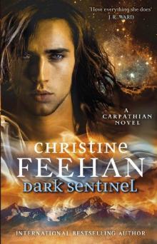 Dark Sentinel ('Dark' Carpathian Book 32) Dark Sentinel ('Dark' Carpathian Book 32)