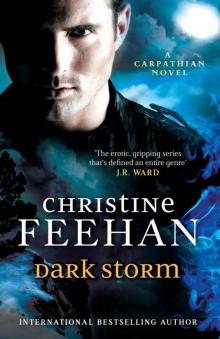 Dark Storm ('Dark' Carpathian Series) Dark Storm ('Dark' Carpathian Series)