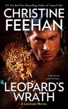 Leopard's Wrath (A Leopard Novel) Leopard's Wrath (A Leopard Novel)
