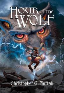 Hour of the Wolf (Schooled in Magic, #29) Hour of the Wolf (Schooled in Magic, #29)