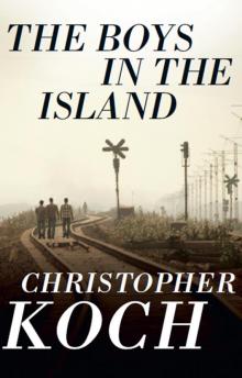 The Boys in the Island