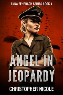 Angel in Jeopardy_The thrilling sequel to Angel of Vengeance