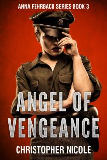 Angel of Vengeance_The thrilling sequel to Angel in Red
