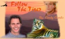 Follow the Tiger