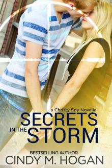 Secrets in the Storm