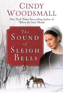 The Sound of Sleigh Bells The Sound of Sleigh Bells