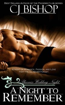 A Night To Remember_Phoenix Wedding Night