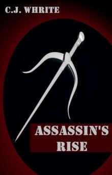 Assassin's Rise Assassin's Rise