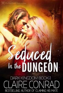 Seduced in the Dungeon (Dark Kingdom Book 1)