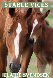 Stable Vices (Show Jumping Dreams ~ Book 21)