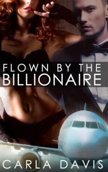 Flown By The Billionaire Flown By The Billionaire