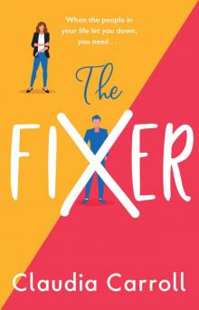 The Fixer The Fixer