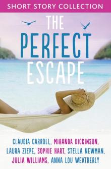 The Perfect Escape