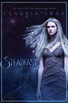 Steadfast Steadfast