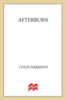 Afterburn: A Novel