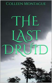 The Last Druid The Last Druid