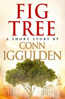 Fig Tree Fig Tree