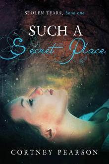 Such A Secret Place (Stolen Tears Book 1)