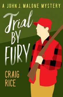 Trial by Fury Trial by Fury