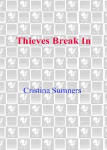 Thieves Break In Thieves Break In