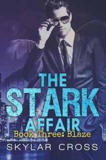 Blaze (The Stark Affair Book 3) Blaze (The Stark Affair Book 3)
