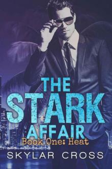Heat (The Stark Affair Book 1)