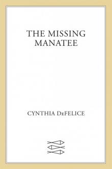 The Missing Manatee