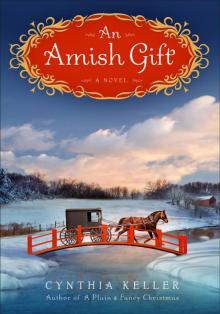 An Amish Gift An Amish Gift