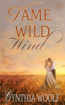 Tame a Wild Wind Tame a Wild Wind