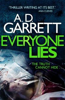 Everyone Lies Everyone Lies