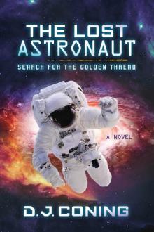 The Lost Astronaut The Lost Astronaut