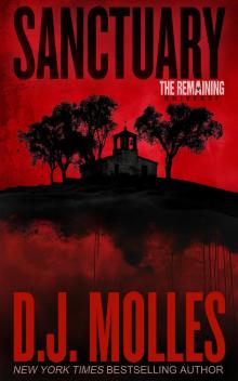 Sanctuary: A Remaining Universe Novel