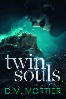 Twin Souls (The Guardians: Book 2) Twin Souls (The Guardians: Book 2)