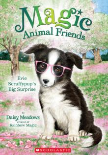 Evie Scruffypup's Big Surprise Evie Scruffypup's Big Surprise