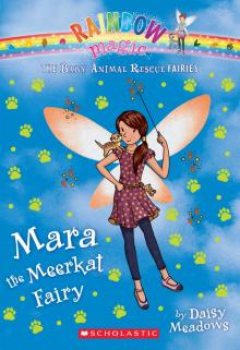 Mara the Meerkat Fairy Mara the Meerkat Fairy