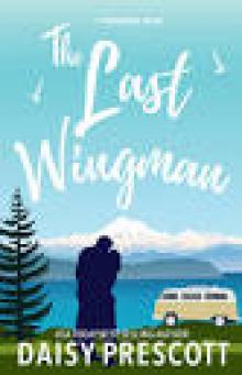 The Last Wingman (Wingmen Book 6)