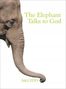 Elephant Talks to God Elephant Talks to God