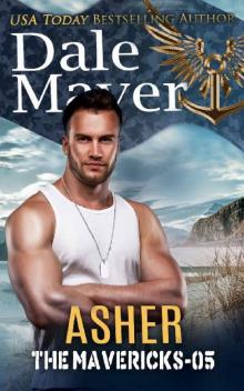 Asher (The Mavericks Book 5)