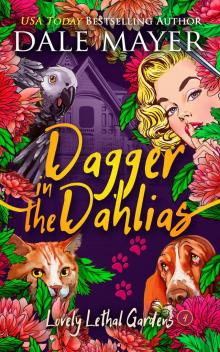Dagger in Dahlias Dagger in Dahlias