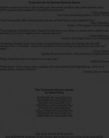 FIREWORKS IN PARADISE FIREWORKS IN PARADISE