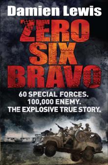 Zero Six Bravo Zero Six Bravo