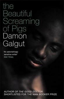 Beautiful Screaming of Pigs Beautiful Screaming of Pigs