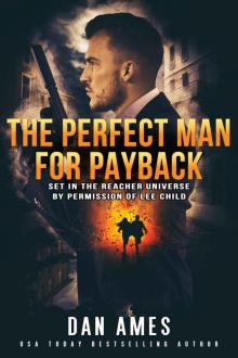 The Jack Reacher Cases (The Perfect Man For Payback)