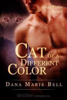 Cat of a Different Color hp-3