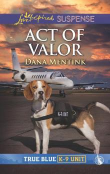 Act of Valor Act of Valor