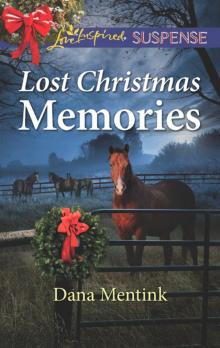 Lost Christmas Memories Lost Christmas Memories