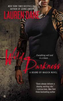 Wild Darkness (A Bound By Magick Novel) Wild Darkness (A Bound By Magick Novel)