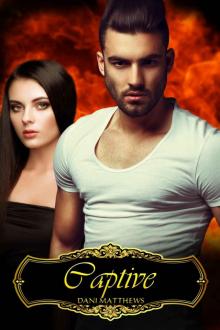 Captive (Igniting the Flame Book 1)