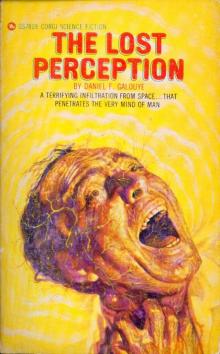The Lost Perception The Lost Perception